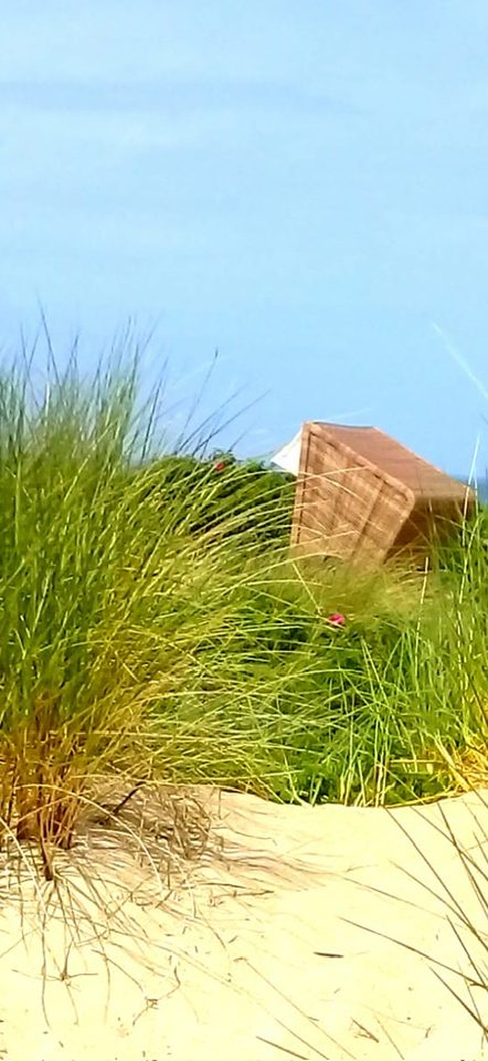 Buhne am Strand von Föhr – Anker Hausverwaltung auf Föhr, Amrum und in Minden